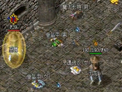 1.76传奇私服主人的背包装备有什么用